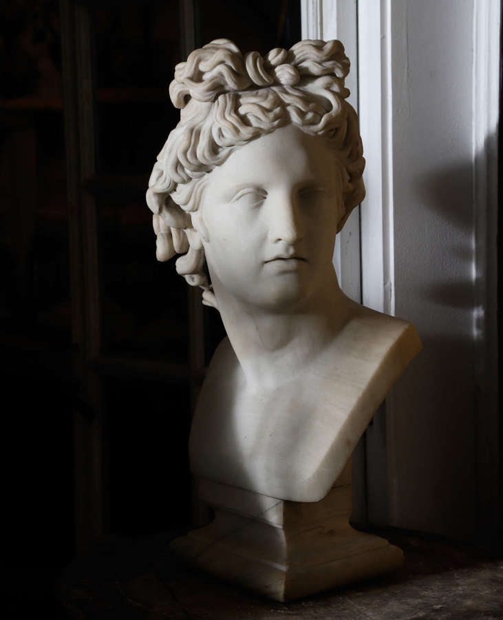18thC Bust of Apollo Belvedere in white marble